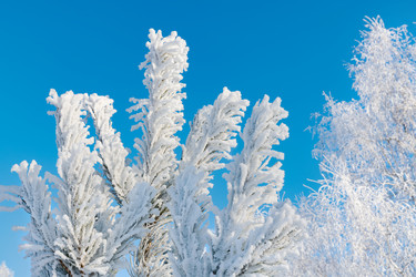 Similar image 21767830