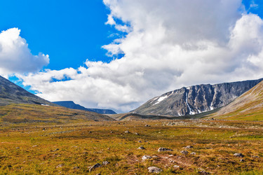 Similar image 21771548