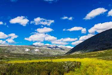 Similar image 21771550