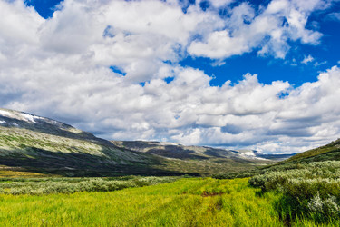 Similar image 21771551