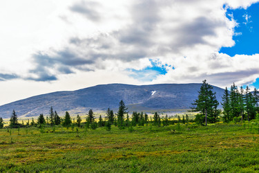 Similar image 21771556