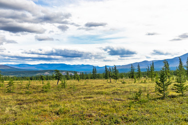 Similar image 21771559