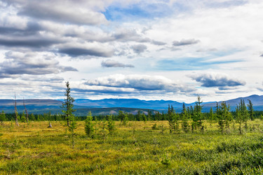 Similar image 21771560