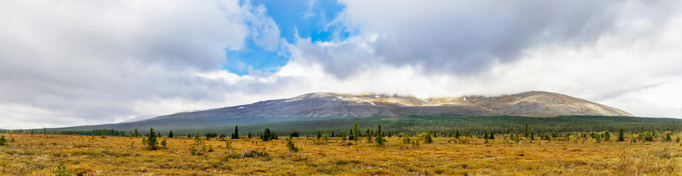 Similar image 21771566