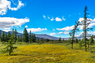 Similar image 21771568