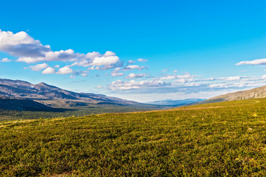 Similar image 21771569