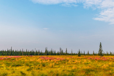 Similar image 21771570