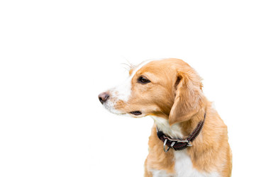 Similar image 21768380