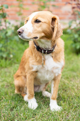 Similar image 21768381