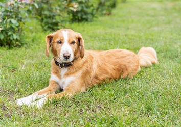 Similar image 21768382