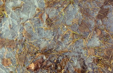 Similar image 21768455