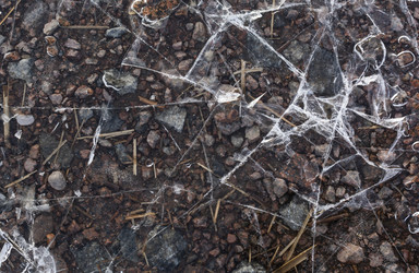 Similar image 21768461