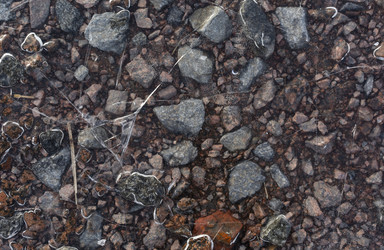 Similar image 21768490