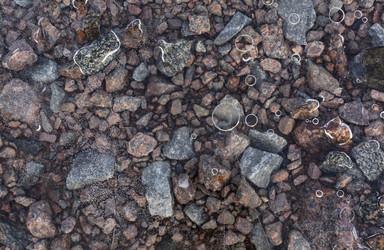 Similar image 21768491