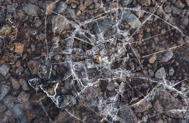 Similar image 21768493