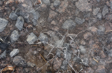 Similar image 21768494