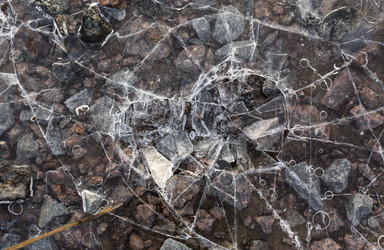 Similar image 21768495