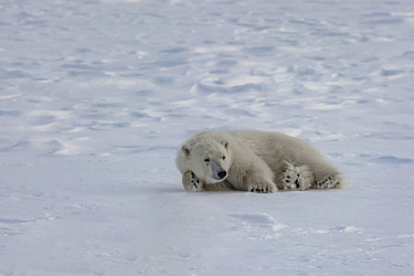 Similar image 21768034