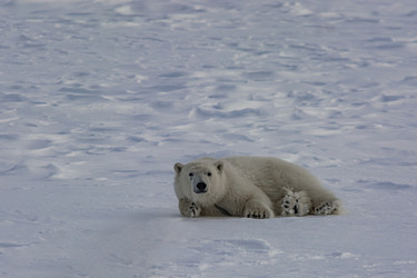 Similar image 21768036