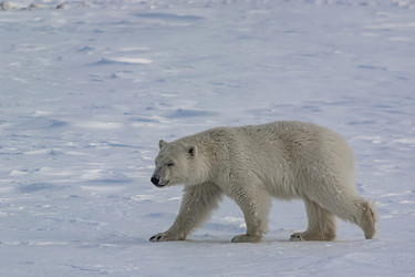 Similar image 21768038