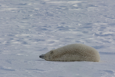 Similar image 21768040