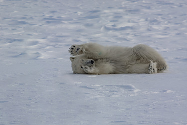 Similar image 21768043