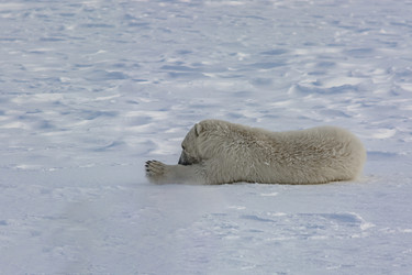 Similar image 21768044