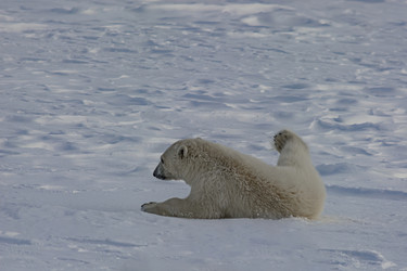 Similar image 21768045