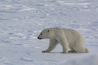 Similar image 21768046