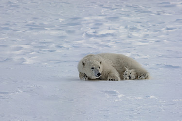 Similar image 21768047