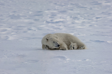 Similar image 21768048