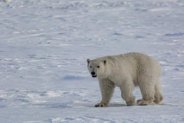 Similar image 21768049