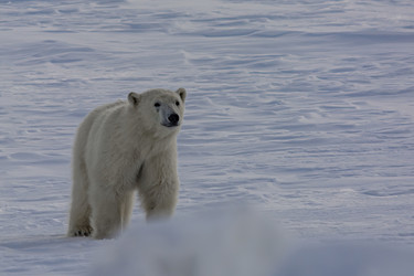 Similar image 21768050