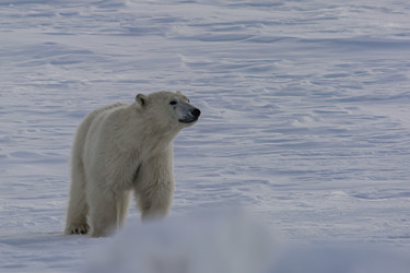 Similar image 21768051