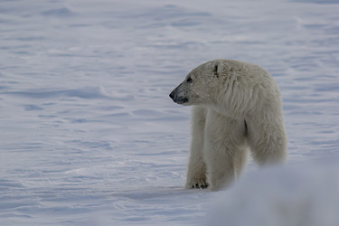 Similar image 21768057