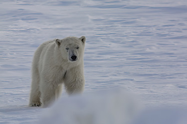 Similar image 21768058