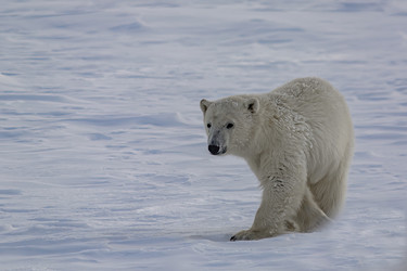 Similar image 21768059