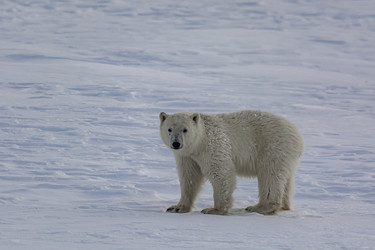 Similar image 21768067