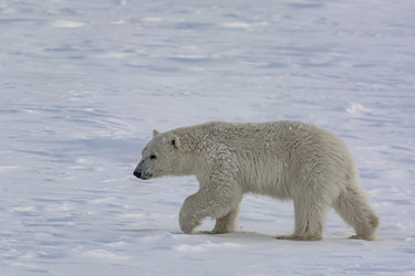 Similar image 21768075