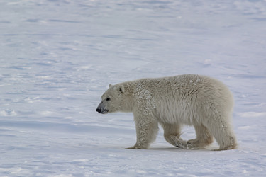 Similar image 21768077