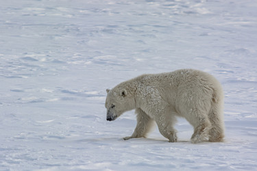 Similar image 21768078