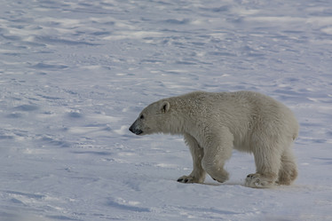 Similar image 21768081