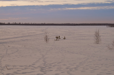 Similar image 21775054