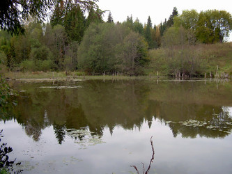 Similar image 21768462