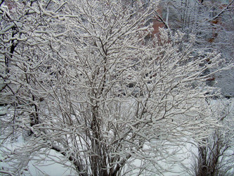 Similar image 21768464