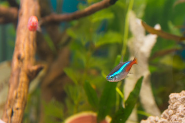 Similar image 21768396