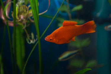 Similar image 21768397