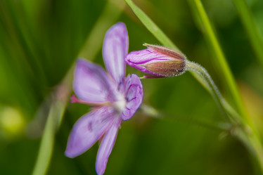 Similar image 21768398