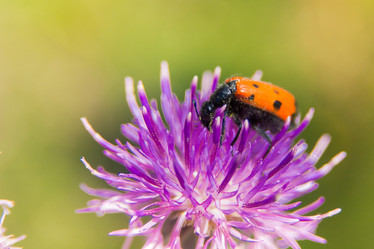 Similar image 21768399