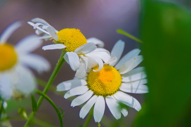 Similar image 21768402